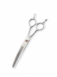 DCT6545 TR 2